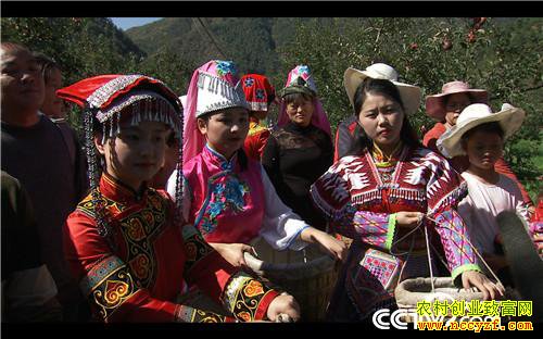 [�¸���]��ƻ���۸� ȫ��һ�� 20181206 