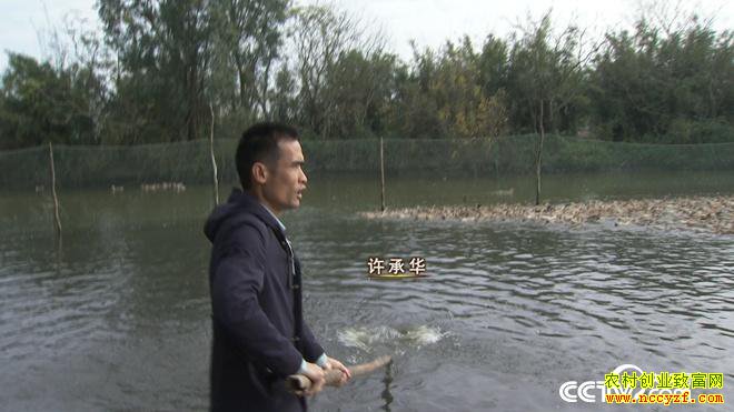 ��нС���Ѽ�º� ����������ǧ��