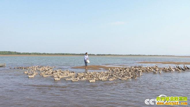 ��нС���Ѽ�º� ����������ǧ��