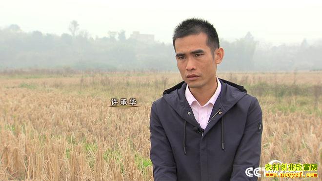 [�¸���]�����������л���Ѽ�º� ����������ǧ��