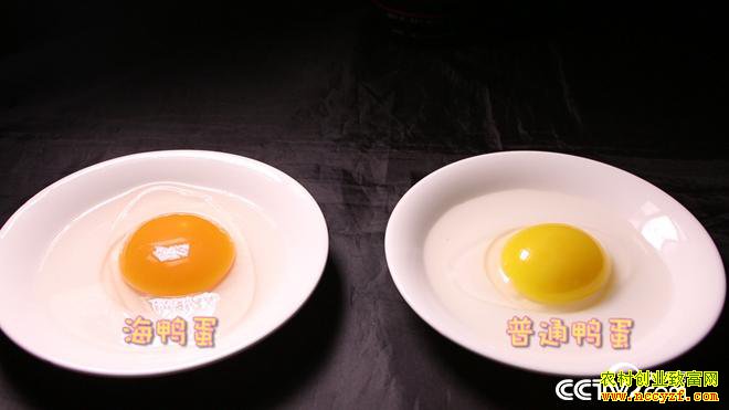 ��нС���Ѽ�º� ����������ǧ��