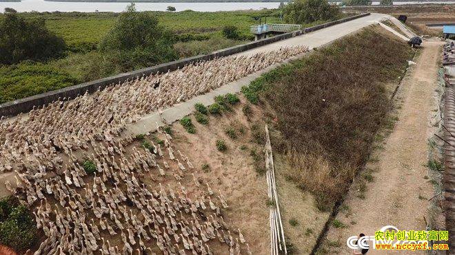 ��нС���Ѽ�º� ����������ǧ��