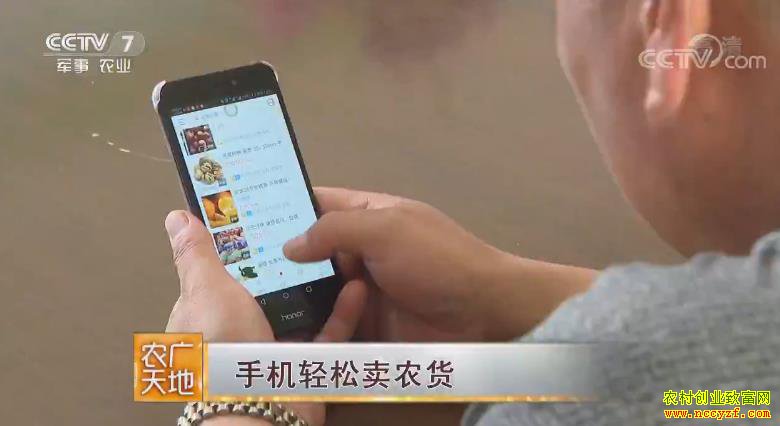 [ũ�����]�������ֻ�������ũ��