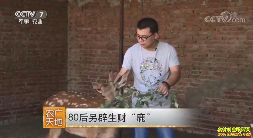 [ũ�����]���ֳ�������Ȩ��¹����ǧ��Ƹ����ؼ�