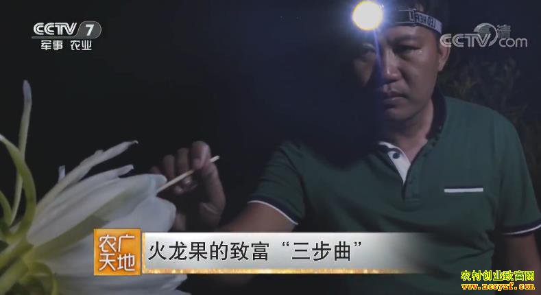 [ũ�����]�������׸�������ֲ���������¸��ؼ�