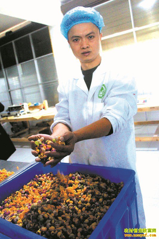 �Ĵ��������������߲��߲���һ����������������