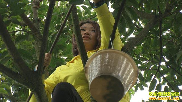 [�¸���]���콭��δ�÷��ֲ�����һ�괿׬100����