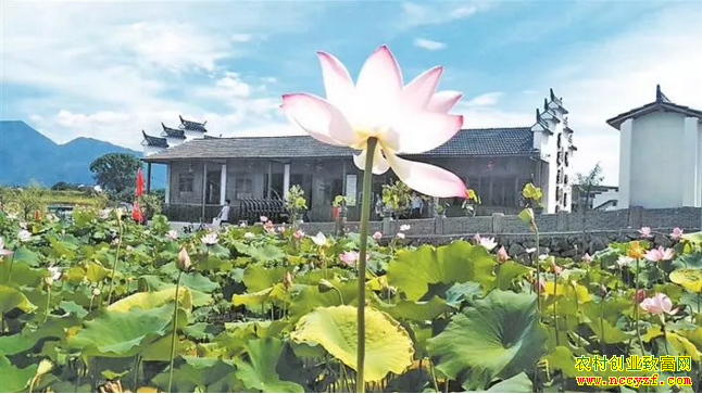 �㽭�ɾ���80���������Ĵ�ҵ��