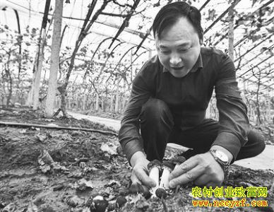 �㽭�����º������Ѽ�����ֲ�ƺ���ǹ�Ч���