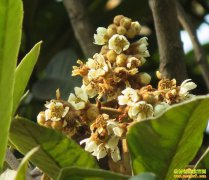 �㽭��ˮ���²��ӹ������˻�����һ����һ����