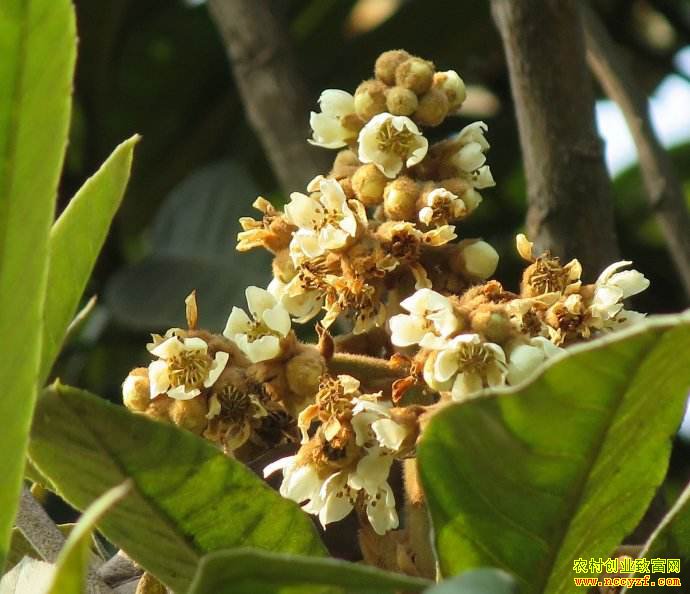 �㽭��ˮ���²��ӹ������˻�����һ����һ����