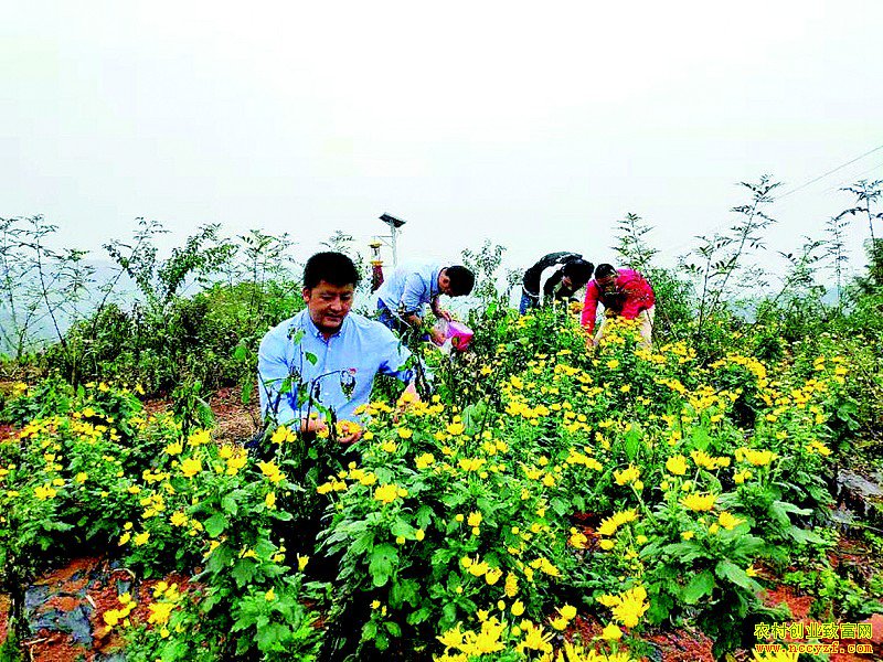 �Ĵ����ݻ��������ֽ�˿�ʾ�Ķ��ֵ4��Ԫ