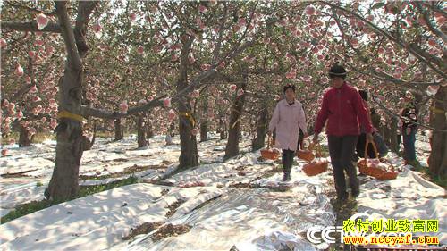 [�¸���]Сϱ������� ����ɰ��򸻽� 20181214 