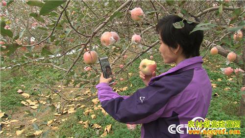 [�¸���]Сϱ������� ����ɰ��򸻽� 20181214 