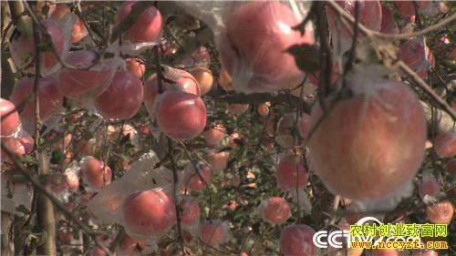 [�¸���]Сϱ������� ����ɰ��򸻽� 20181214 