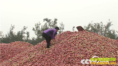 [�¸���]Сϱ������� ����ɰ��򸻽� 20181214 