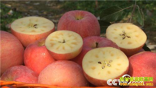 [�¸���]ɽ�����ټ������������ƻ������ɰ��򸻽�