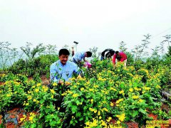 �Ĵ����ݻ��������ֽ�˿�ʾ�Ķ��ֵ4��Ԫ