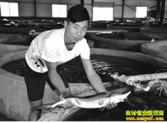 ɽ�������ش�ѧ������ˬ���紴ҵ��ֳ���������¸�·