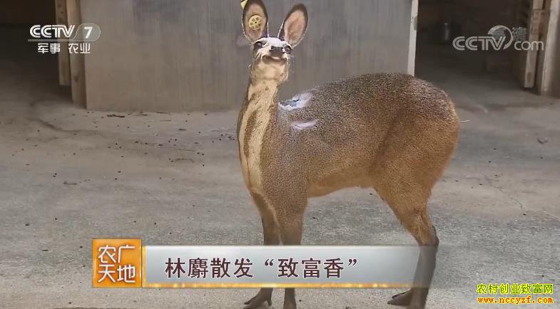 [ũ�����]�������س¿���ֳ����ɢ�����¸��㡱