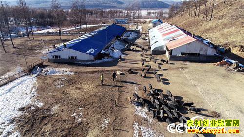 [�¸���]����˾��ʹ���� һ�ꡰ������һ���� 20181225 