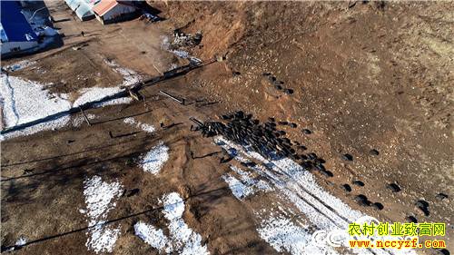 [�¸���]����˾��ʹ���� һ�ꡰ������һ���� 20181225 