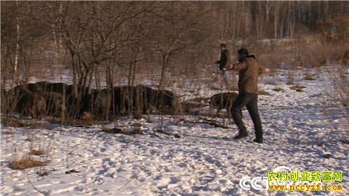 [�¸���]����˾��ʹ���� һ�ꡰ������һ���� 20181225 