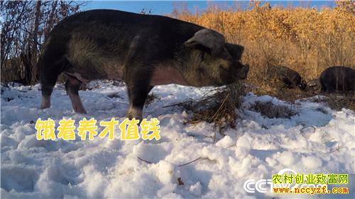 [�¸���]����˾��ʹ���� һ�ꡰ������һ���� 20181225 