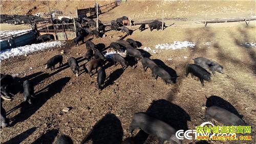 [�¸���]����˾��ʹ���� һ�ꡰ������һ���� 20181225 