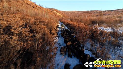 [�¸���]����˾��ʹ���� һ�ꡰ������һ���� 20181225 