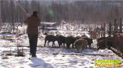 [�¸���]���˰�����˫ȫ��������һ�ꡰ������һ����