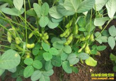 �㽭������ͯ������ë���ֳ��¸�·