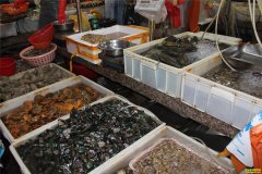 2019�괺��ǰ�����г�����Ԥ��