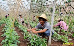 ũ�崴ҵ��������Щ����Ҫ����