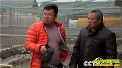 [�¸���]���ϻ���������ֳ�׹Ƕ��� һֻ�������240Ԫ