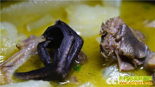 [�¸���]���Ӵ��۹ⶾ С��һֻ�������������240Ԫ 20190110 