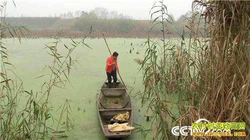 [�¸���]���Ӵ��۹ⶾ С��һֻ�������������240Ԫ 20190110 