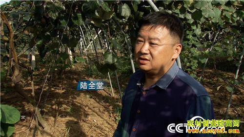 [�¸���]��Ǯ������ ��ʵ�ͽ�������׬Ǯ�ܷ�� 20190115 