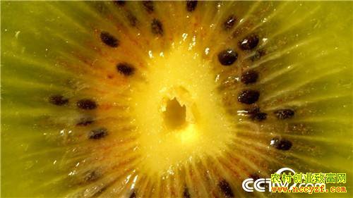 [�¸���]��Ǯ������ ��ʵ�ͽ�������׬Ǯ�ܷ�� 20190115 