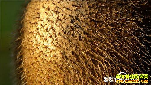 [�¸���]��Ǯ������ ��ʵ�ͽ�������׬Ǯ�ܷ�� 20190115 