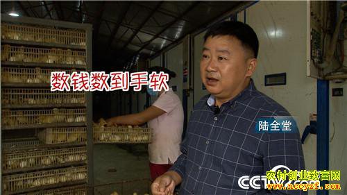 [�¸���]��Ǯ������ ��ʵ�ͽ�������׬Ǯ�ܷ�� 20190115 