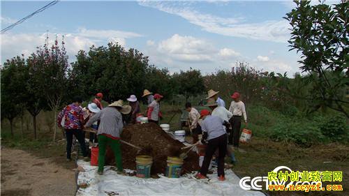 [�¸���]��Ǯ������ ��ʵ�ͽ�������׬Ǯ�ܷ�� 20190115 