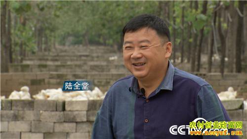 [�¸���]��Ǯ������ ��ʵ�ͽ�������׬Ǯ�ܷ�� 20190115 