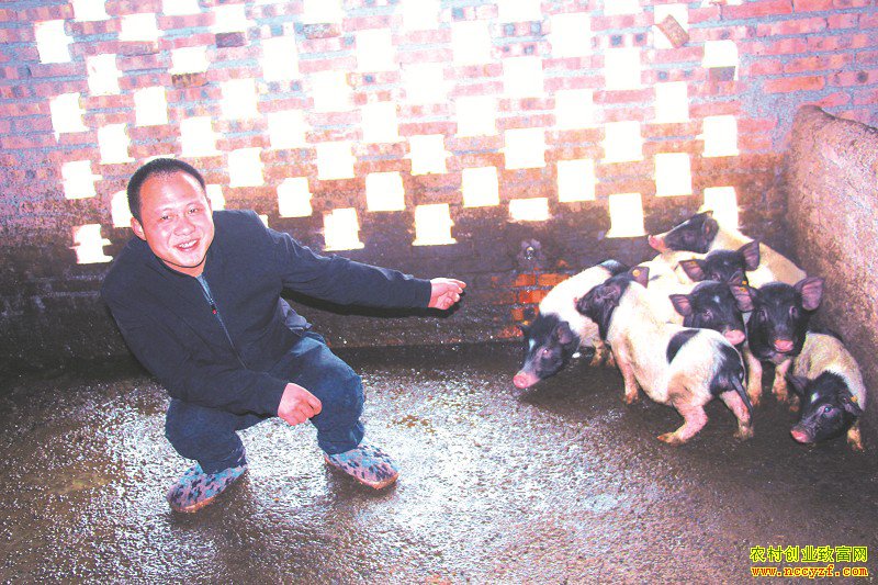 �Ĵ�����������շ�����������һ�꾻׬12��Ԫ