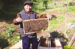 �Ĵ��������������似���� �������۸�