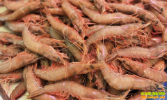 ��ص� Ϻ���� ��ǰ��Ϻ�����Ա��ձ鿴��