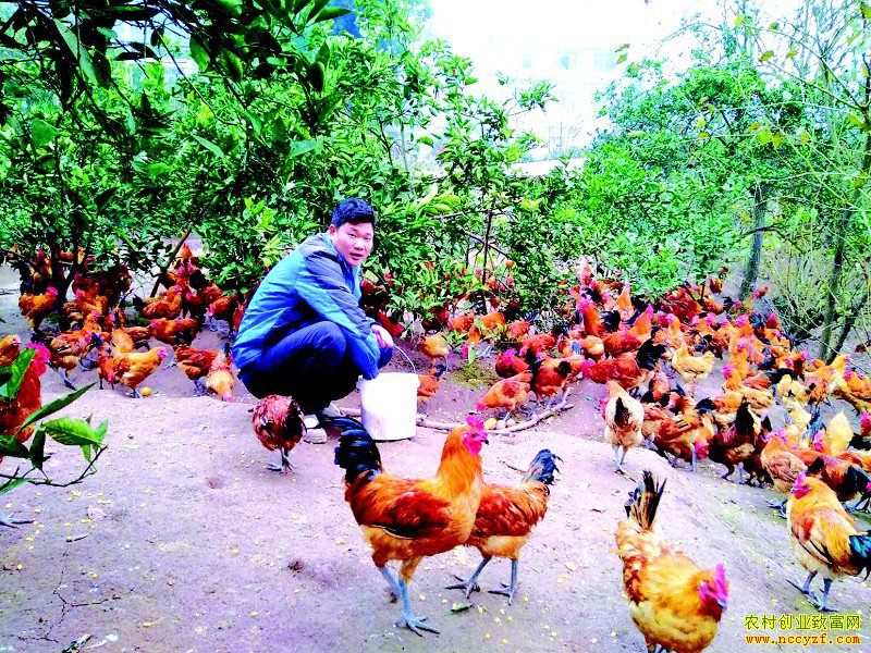 �Ĵ�������Фƽ��ֳ��ɽ������ʮ����