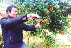 �Ĵ������������￲�����ָ���Ч���