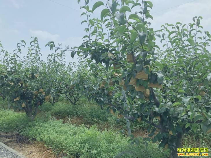 �㽭����֣�����������ʵ��ũҵ�¸���