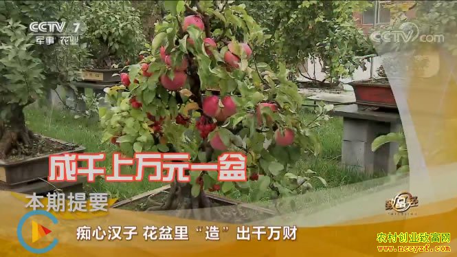 [�¸���]���ĺ��� ������족��ǧ��� 20190118